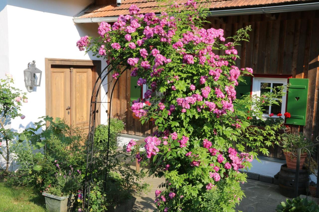 Apartment Altes Gehoeft Am Lormanberg *